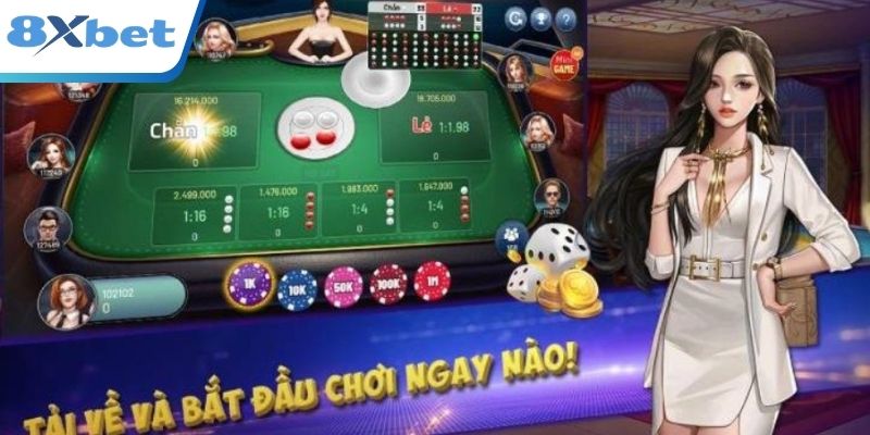 Trình tự cơ bản trong cách chơi Xóc Đĩa online